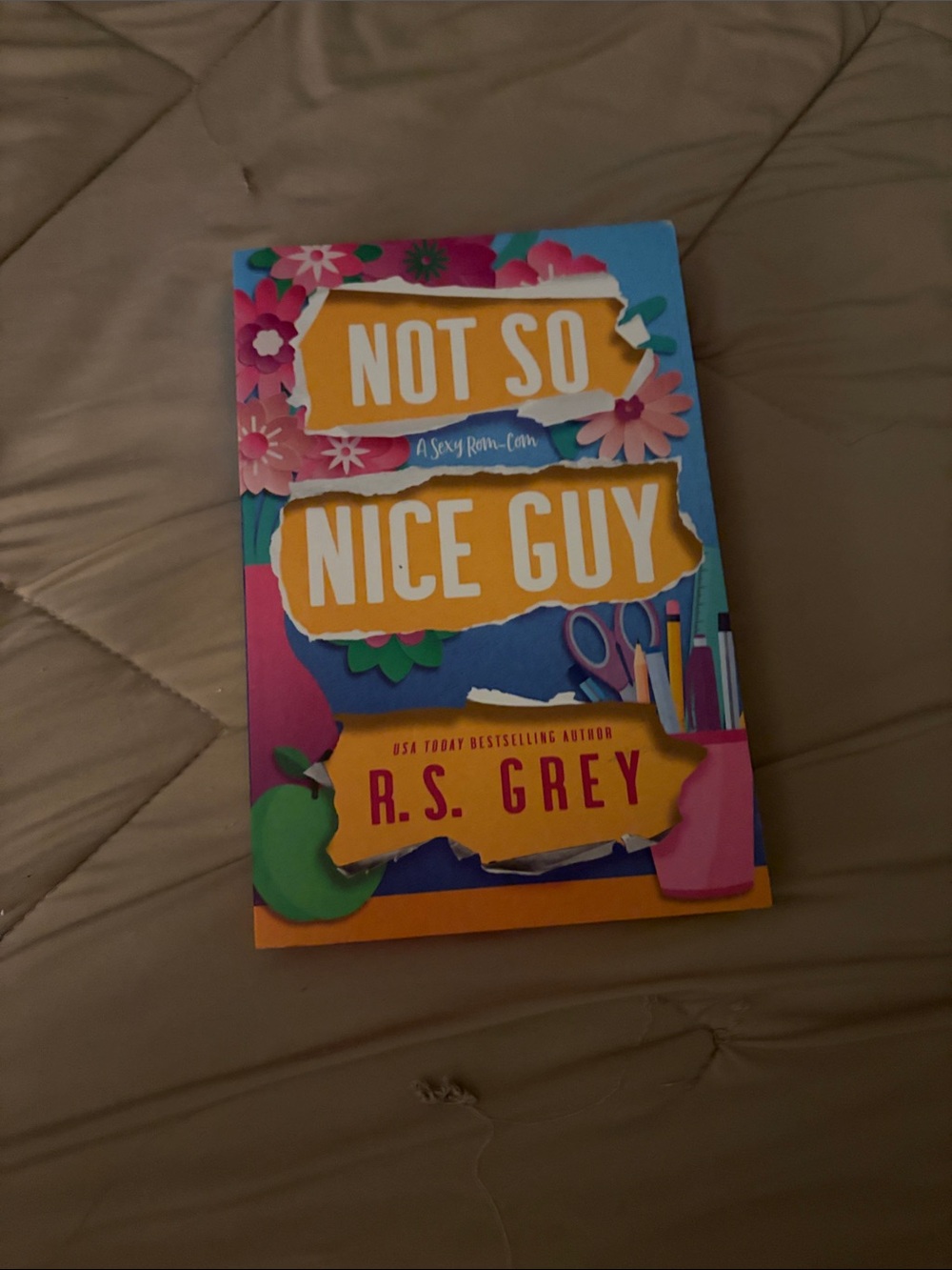 Not So Nice Guy (Paperback) by R.S. Grey